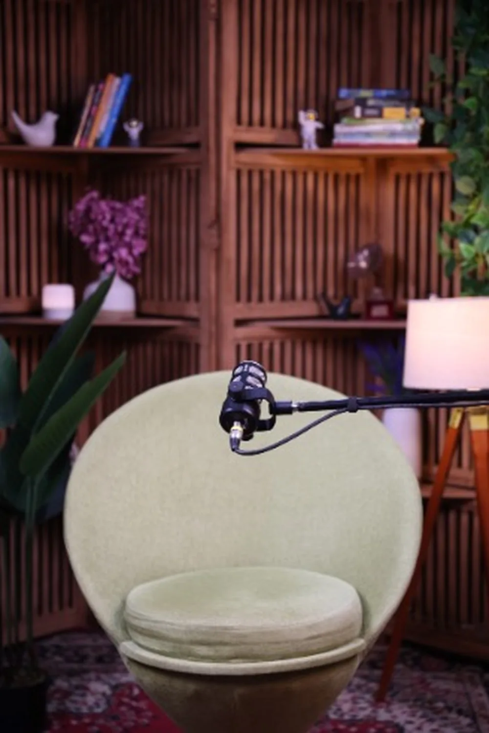 Green set · bamboo backdrop